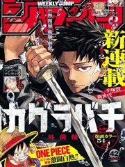 门缝里的光漫画封面